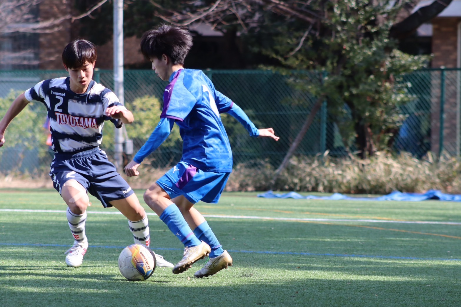 Image (7)